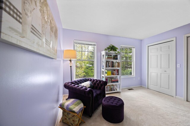 1491 Kent St, Traverse City, MI 49686 - photo 35