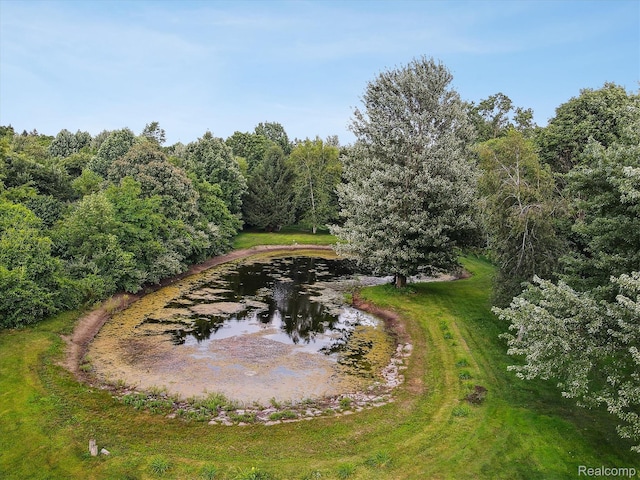 56764 Jewell Rd, Shelby Twp, MI 48315 - photo 53