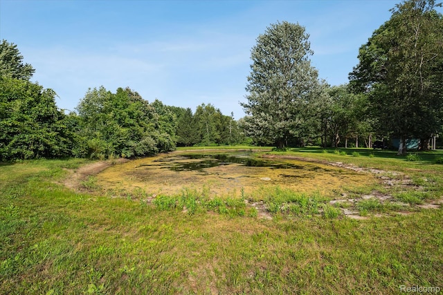 56764 Jewell Rd, Shelby Twp, MI 48315 - photo 47