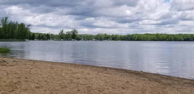 3200 Lake Of The Pines Dr, Lake, MI 48632 - photo 28