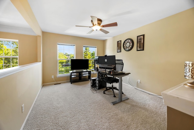49660 Great Falls Rd, Canton, MI 48188 - photo 25