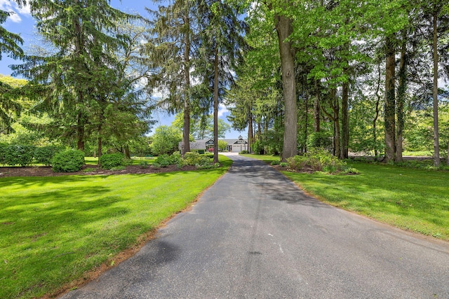 18769 N Fruitport Rd, Spring Lake, MI 49456 - photo 82