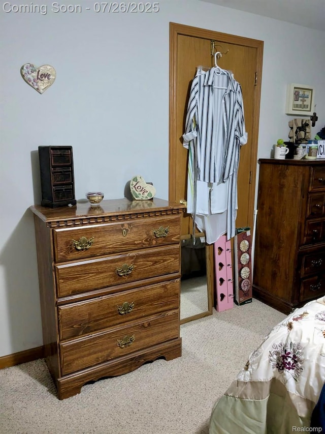 6156 Williams Rd, Newport, MI 48166 - photo 20