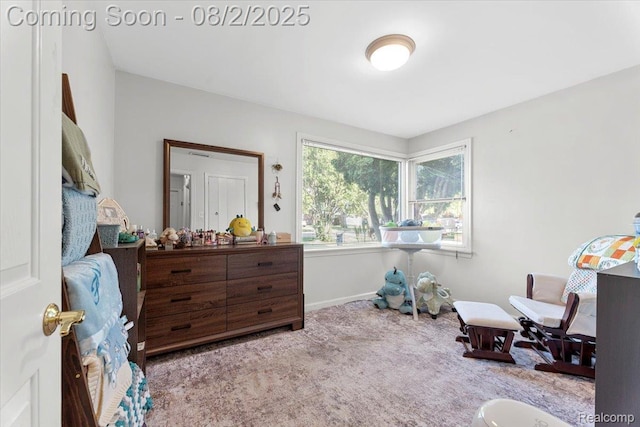9036 Reeck Rd, Allen Park, MI 48101 - photo 14
