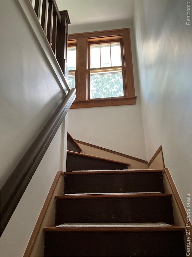 216 Woodside Rd, Royal Oak, MI 48073 - photo 20