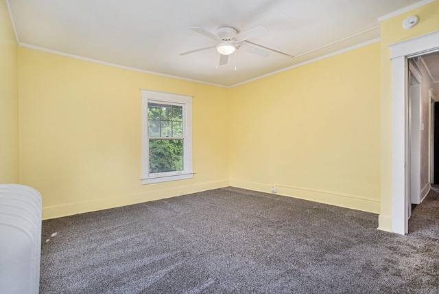 105 Chestnut St, Battle Creek, MI 49017 - photo 16