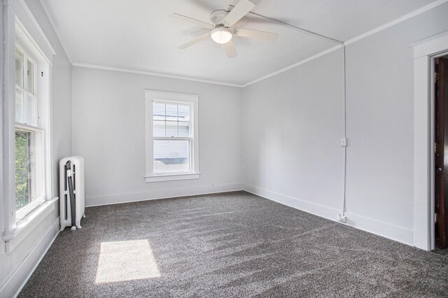 105 Chestnut St, Battle Creek, MI 49017 - photo 19