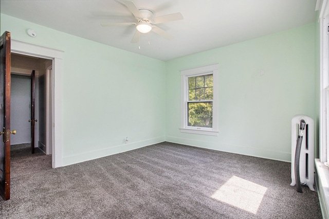 105 Chestnut St, Battle Creek, MI 49017 - photo 21