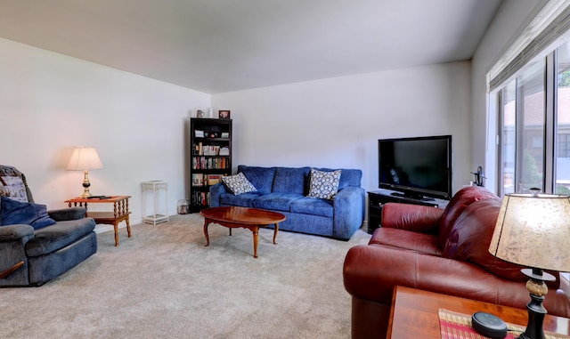 19 Old Mill Dr Unit 21, Holland, MI 49423 - photo 8