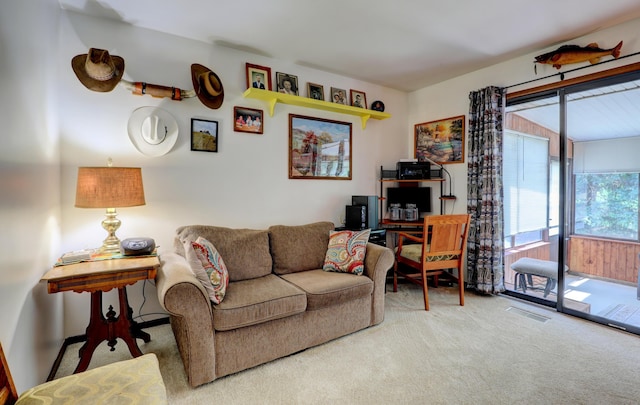 19 Old Mill Dr Unit 21, Holland, MI 49423 - photo 20
