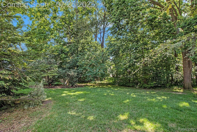 3040 Helen Ct, Royal Oak, MI 48073 - photo 25