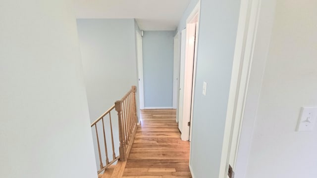 1730 Traver Rd, Ann Arbor, MI 48105 - photo 11
