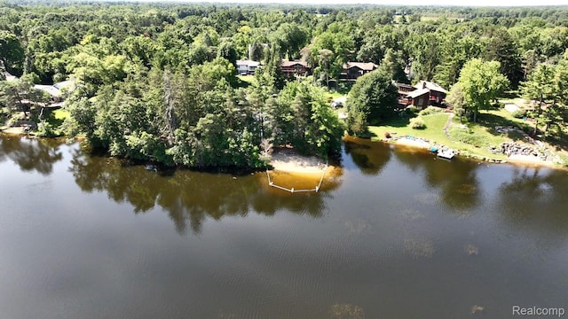 573 Nakomis Trl, Lake Orion, MI 48362 - photo 58