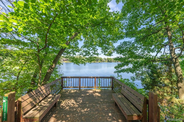573 Nakomis Trl, Lake Orion, MI 48362 - photo 50