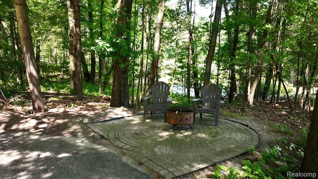 573 Nakomis Trl, Lake Orion, MI 48362 - photo 10