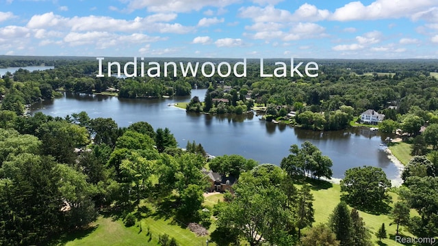 573 Nakomis Trl, Lake Orion, MI 48362 - photo 59