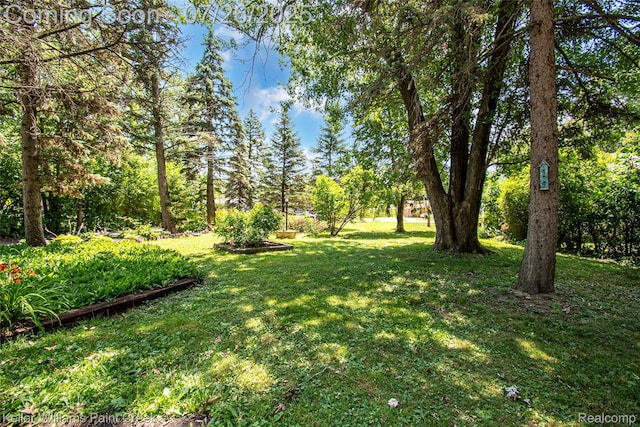 18761 Mckinnon St, Roseville, MI 48066 - photo 4