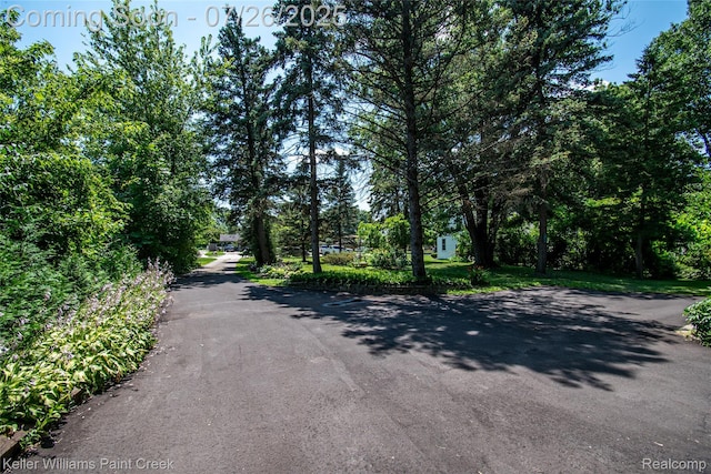 18761 Mckinnon St, Roseville, MI 48066 - photo 5