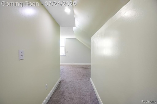 5424 Bingham St, Dearborn, MI 48126 - photo 25