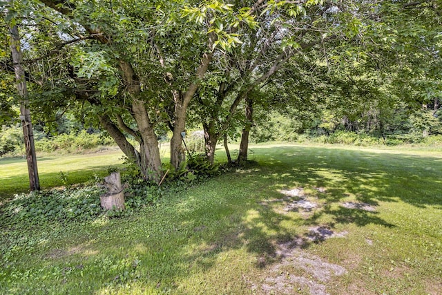 5200 Lansing Ave, Jackson, MI 49201 - photo 51