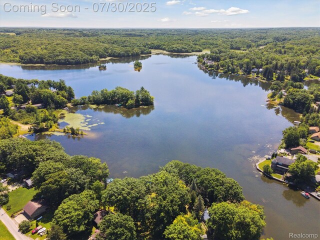 3135 Muntin Dr, Millington, MI 48746 - photo 58