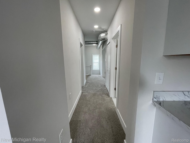 171 Davis St, Wyandotte, MI 48192 - photo 42