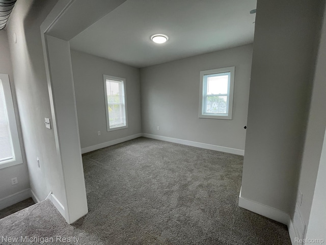 171 Davis St, Wyandotte, MI 48192 - photo 46