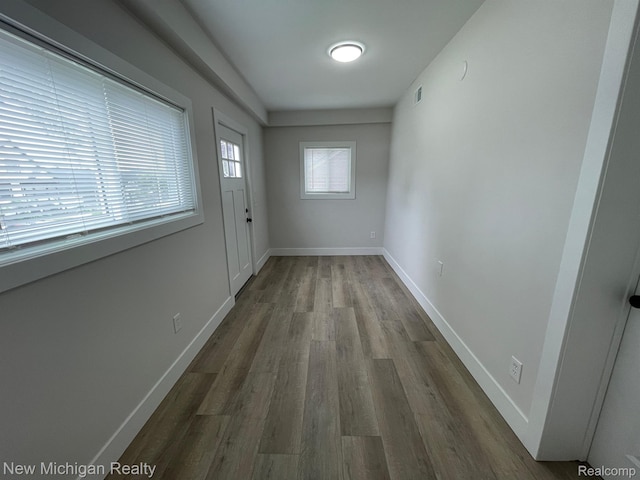 171 Davis St, Wyandotte, MI 48192 - photo 68