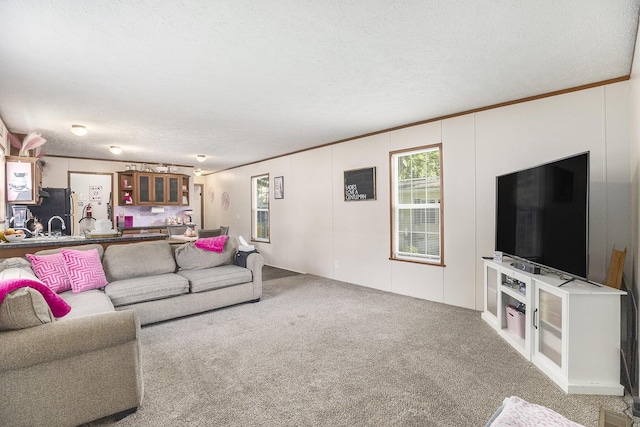4481 Knollwood Dr, Allendale, MI 49401 - photo 4