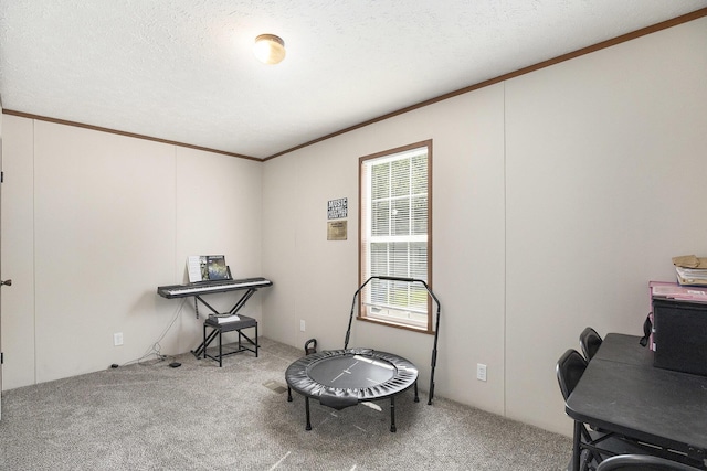 4481 Knollwood Dr, Allendale, MI 49401 - photo 10