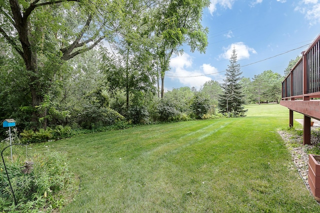 2984 Argonne Dr, Ann Arbor, MI 48105 - photo 64