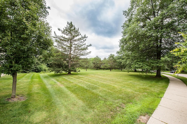 2984 Argonne Dr, Ann Arbor, MI 48105 - photo 65