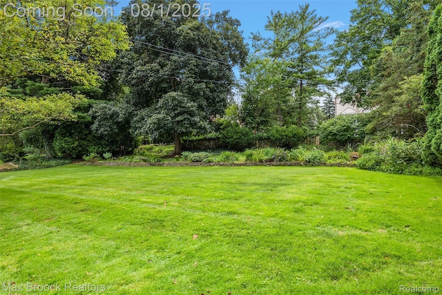 3233 S Bradway Blvd, Bloomfield Hills, MI 48301 - photo 41