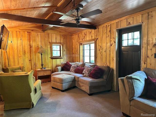 73 Massie Dr, Mio, MI 48647 - photo 6