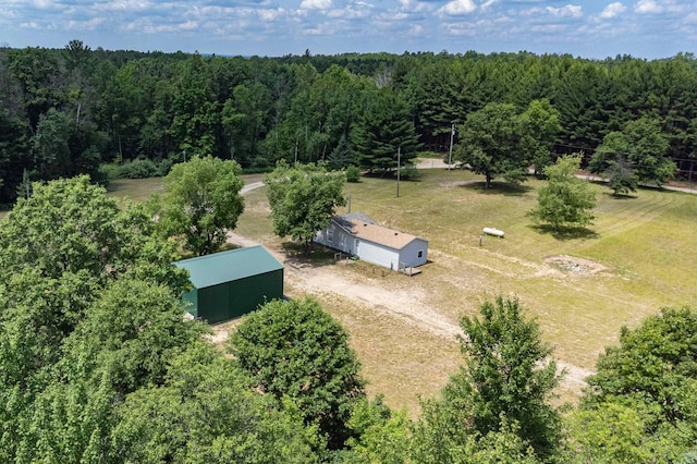 10241 W Gladwin Rd, Lake, MI 48632 - photo 19