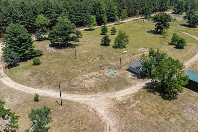 10241 W Gladwin Rd, Lake, MI 48632 - photo 20