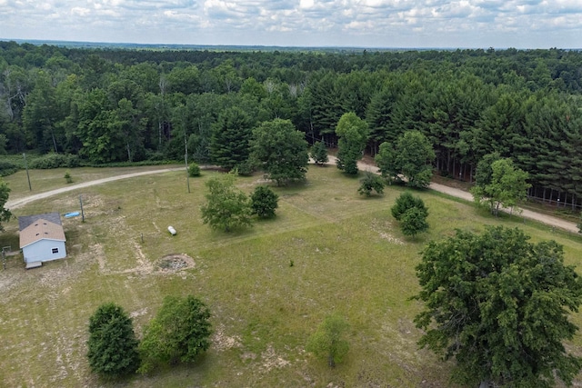 10241 W Gladwin Rd, Lake, MI 48632 - photo 17