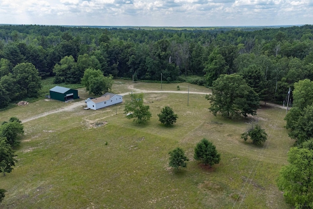 10241 W Gladwin Rd, Lake, MI 48632 - photo 3