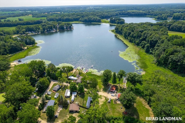 1499 Big Lake Dr, Hopkins, MI 49328 - photo 26
