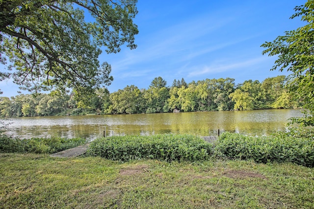 58730 Ash Rd, Three Rivers, MI 49093 - photo 14