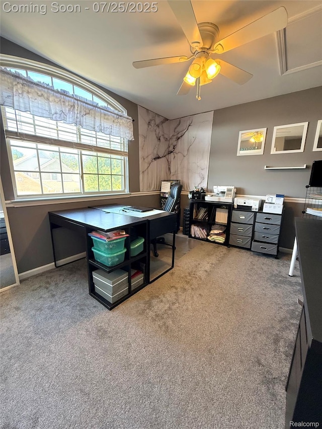 23725 Mccort Dr, Flat Rock, MI 48134 - photo 21