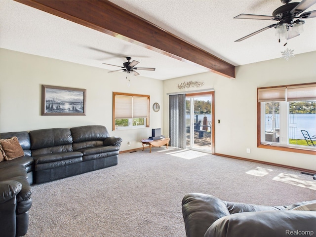 480 Peninsula Dr, Columbiaville, MI 48421 - photo 9