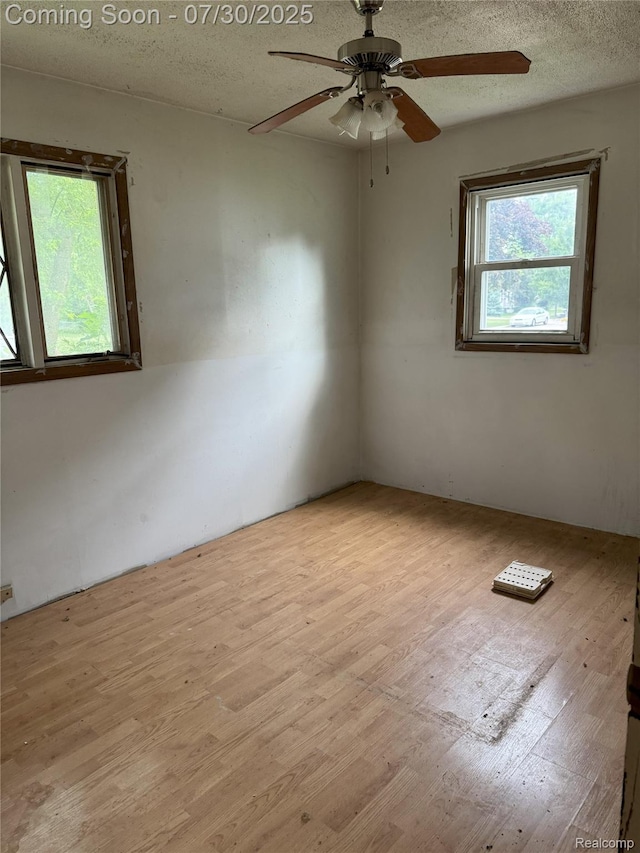824 Harbor Ave, Monroe, MI 48162 - photo 11