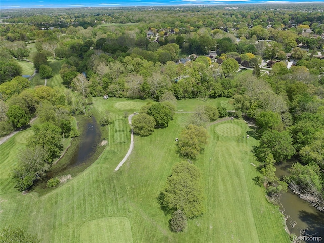 38383 Saddle Ln, Clinton Township, MI 48036 - photo 13