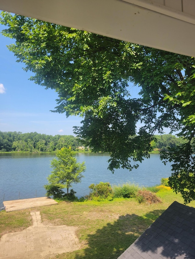 816 River St, Three Rivers, MI 49093 - photo 22