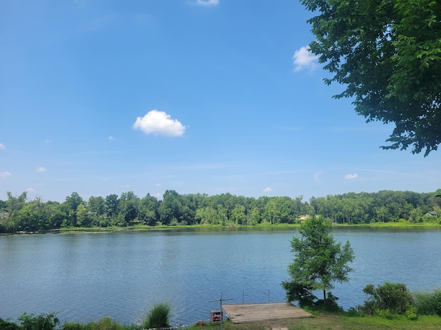 816 River St, Three Rivers, MI 49093 - photo 20