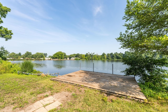 816 River St, Three Rivers, MI 49093 - photo 31