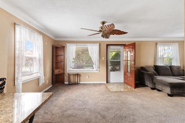 5711 Polk St, Dearborn Heights, MI 48125 - photo 4