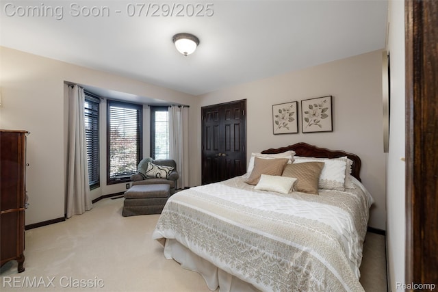 12216 Deer Creek Run, Plymouth, MI 48170 - photo 44