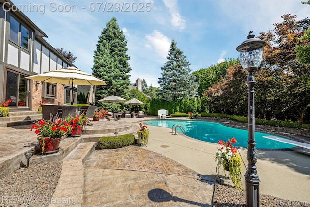 12216 Deer Creek Run, Plymouth, MI 48170 - photo 67